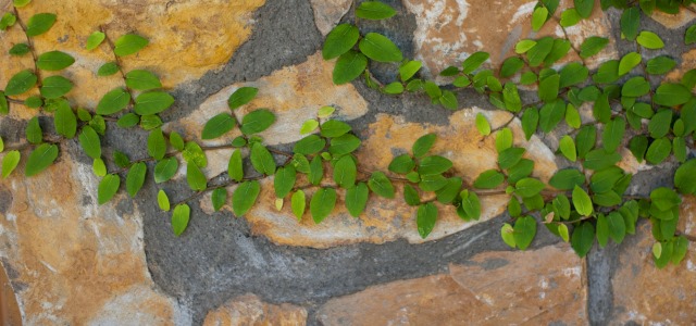 Pillar To Post Newsletter March 2020